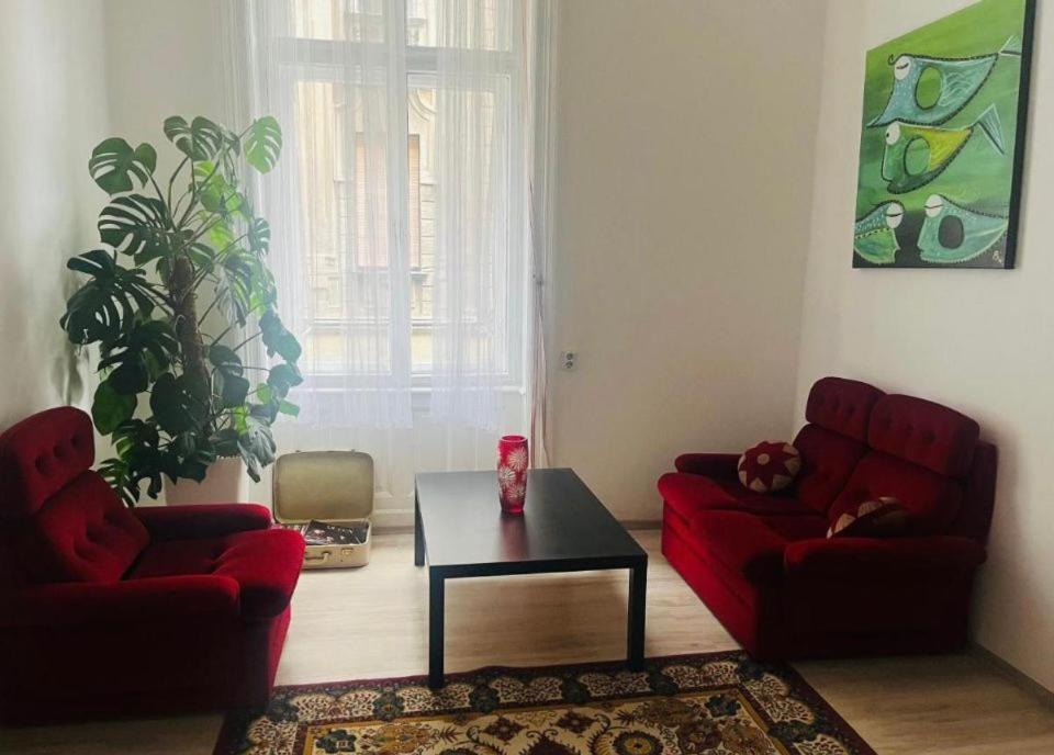 Ejjeli Majom Hostel Budapeşte Dış mekan fotoğraf